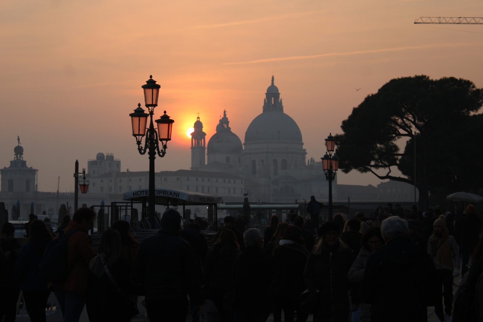 All the events in Venice in 2025, a mustsee! Boutique Hotel Arcadia